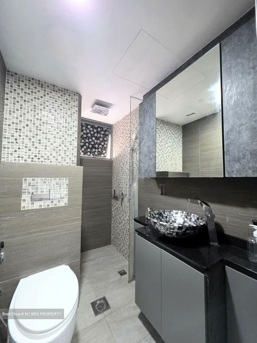 Cassia View (D14), Apartment #562051411